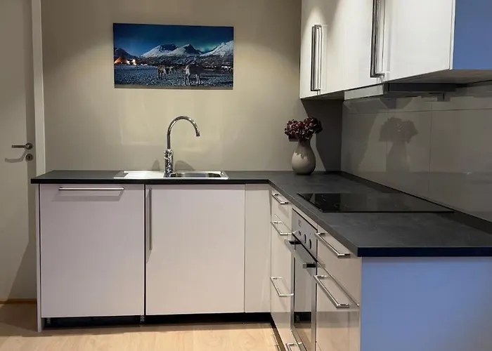 Beautiful In Tromsoya! Free Parking For One Car *