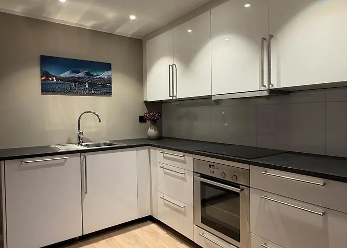 Lägenhet Beautiful In Tromsoya! Free Parking For One Car